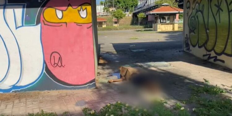 O homem foi morto na madrugada e o corpo removido nessa manhã. Foto: Reprodução