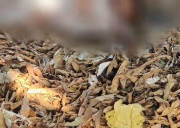 O corpo foi encontrado na manhã desta quarta-feira (31). Foto: Reprodução