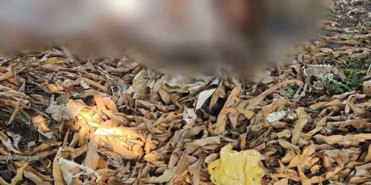 O corpo foi encontrado na manhã desta quarta-feira (31). Foto: Reprodução