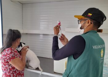 A utilização das unidades móveis é uma estratégia para facilitar o acesso da população. Foto: Divulgação/Semsa