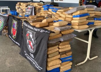 Foram necessárias várias viaturas para levar a droga até a delegacia. Foto: Divulgação