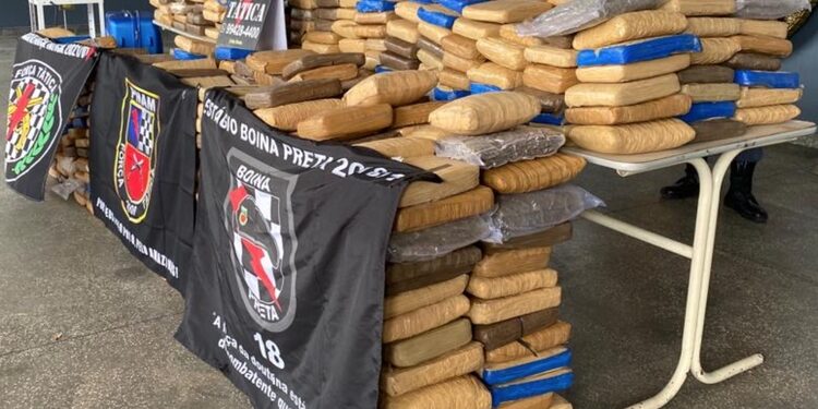 Foram necessárias várias viaturas para levar a droga até a delegacia. Foto: Divulgação