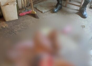 O crime ocorreu na tarde desta segunda-feira (1º). Foto: Reprodução