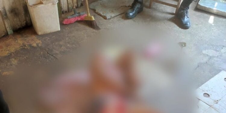 O crime ocorreu na tarde desta segunda-feira (1º). Foto: Reprodução