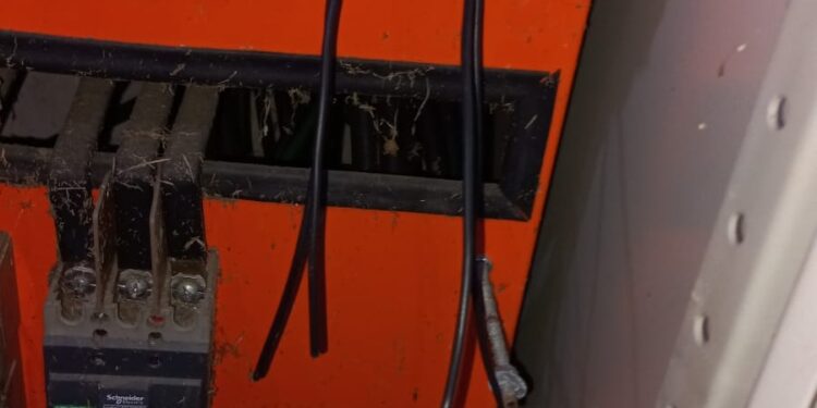 A prefeitura vai mobilizar ações e intervenções para minimizar danos. Foto: Divulgação / Implurb