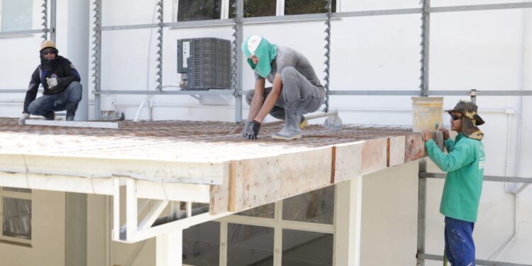 As abras estão em estágio avançado. Foto: Divulgação