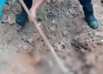 A professora foi morta a facadas e depois jogaram cimento em cima. Foto: Reprodução