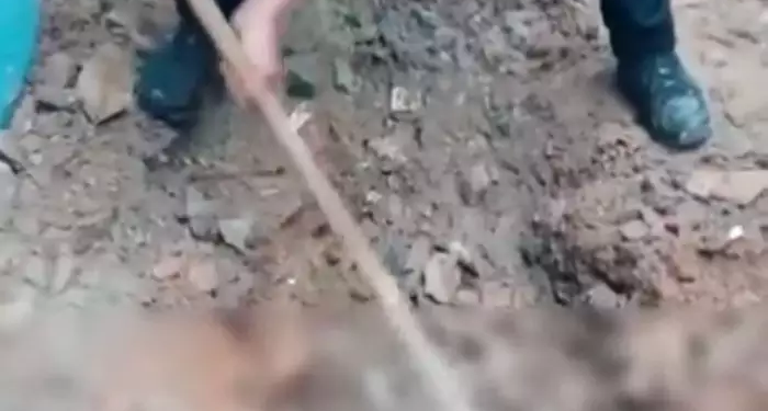 A professora foi morta a facadas e depois jogaram cimento em cima. Foto: Reprodução