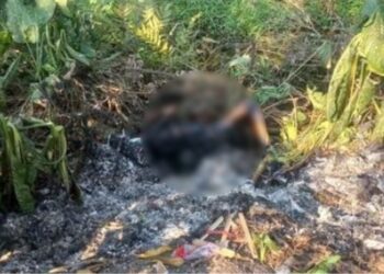 O corpo foi encontrado na manhã desta segunda-feira (30). Foto: Reprodução