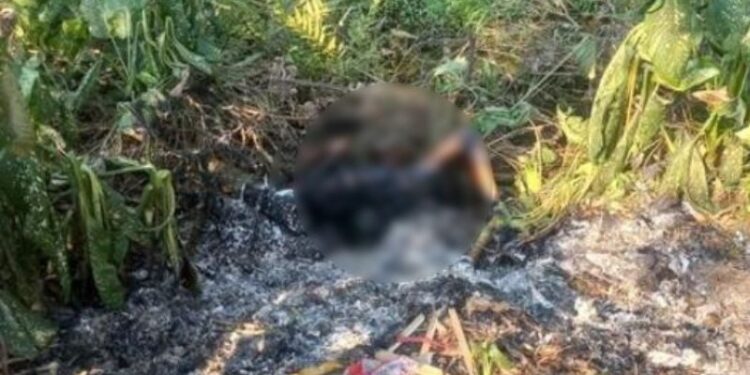 O corpo foi encontrado na manhã desta segunda-feira (30). Foto: Reprodução