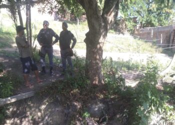 O corpo estava numa área de plantação. Foto: Reprodução