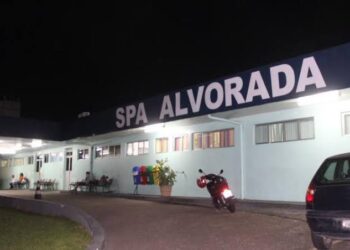 Ela foi levada ao SPA, mas já chegou sem vida. Foto: Reprodução