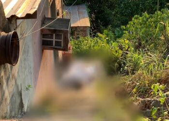 O crime ocorreu na tarde deste sábado (10). Foto: Divulgação