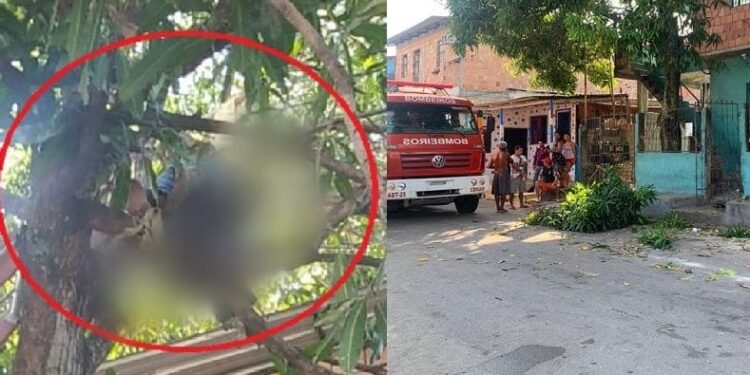 O acidente aconteceu na rua Peixe Agulha, bairro Jorge Teixeira, Zona Leste de Manaus. Foto: Divulgação