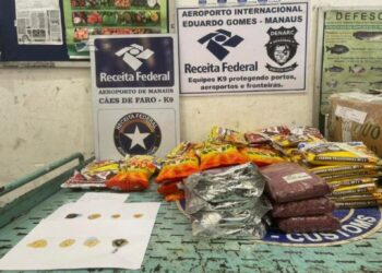 Todo o material seria encaminhado para Istambul, na Turquia. Foto: Reprodução