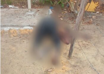 Foto: reprodução redes sociais