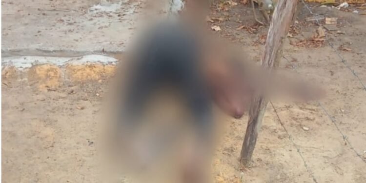 Foto: reprodução redes sociais