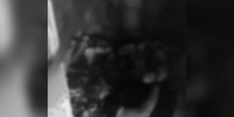 O homem estava ainda desacordado. Foto: Reprodução