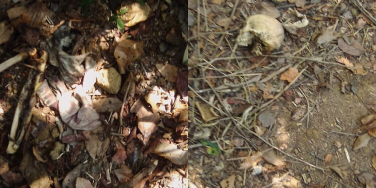 Os restos mortais foram encaminhados para o IML. Foto: Reprodução