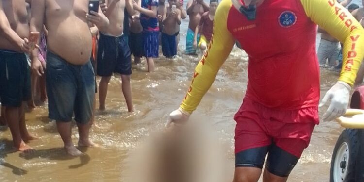 Os ossos mortais foram encontrados na tarde deste domingo (9). Foto: Reprodução