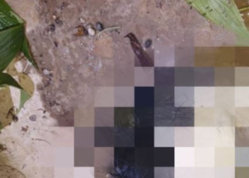 A cabeça foi encontrada na noite desta quarta-feira (5). Foto: Reprodução