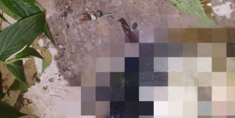 A cabeça foi encontrada na noite desta quarta-feira (5). Foto: Reprodução
