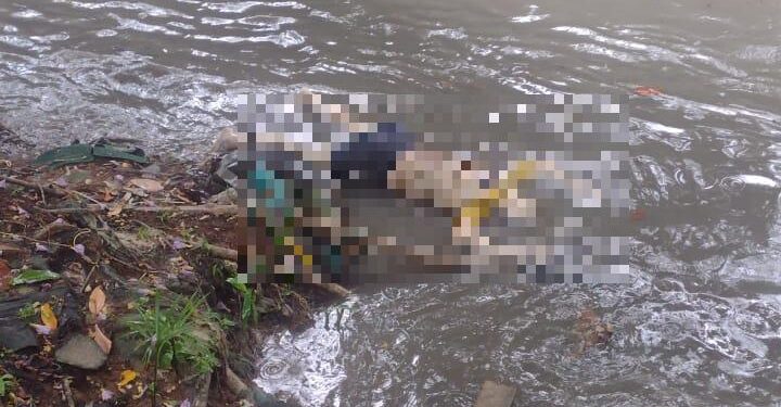 O cadáver possuía marcas de arma de fogo pelo corpo. Foto: Reprodução