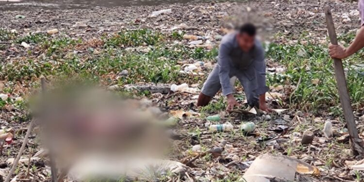 Foto: reprodução redes sociais