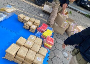 Vários tabletes de maconha estavam em caixas de papelão. Foto:  Divulgação – PRF