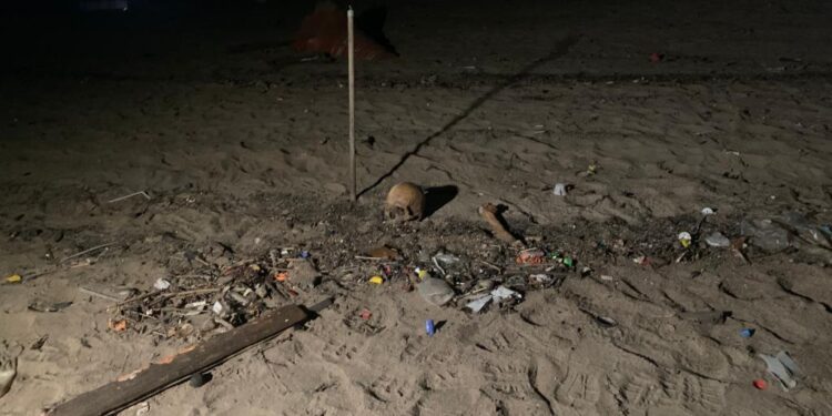 Os ossos foram encaminhados para o IML. Foto: Reprodução