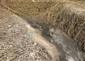 Os ossos estavam numa vala. Foto: Reprodução