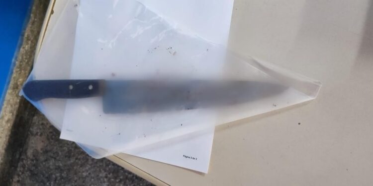 A faca usada no crime foi recuperada pela polícia. Foto: Divulgação