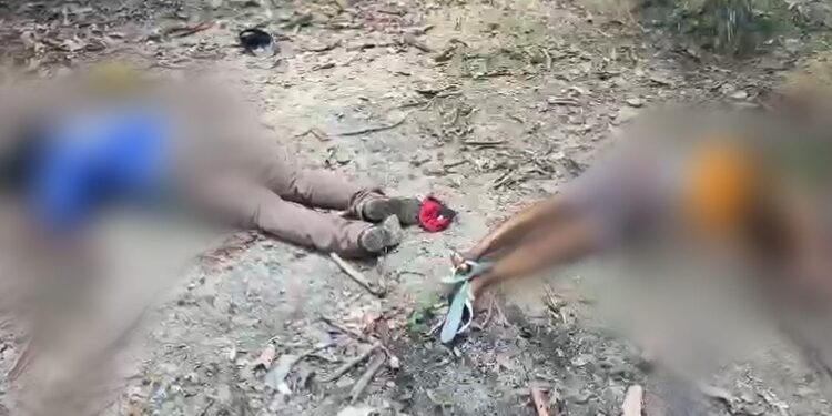 Os corpos foram encontrados na manhã desta sábado (19). Foto: Reprodução