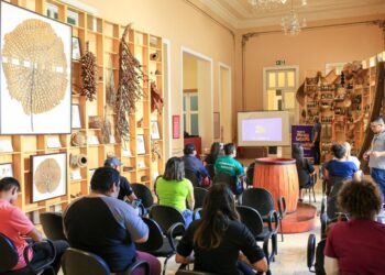 O cronograma das audiências públicas com a classe artística já foram organizados. Foto: Divulgação