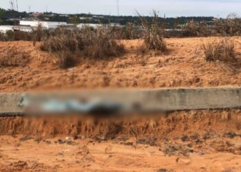 O corpo foi encontrado por moradores e trabalhadores da região. Foto: Divulgação