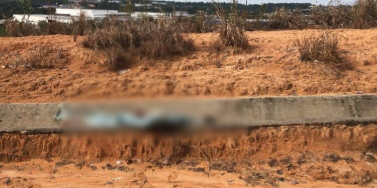 O corpo foi encontrado por moradores e trabalhadores da região. Foto: Divulgação