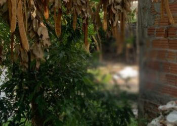 O corpo foi encontrado por moradores que acionaram a polícia. Foto: Reprodução