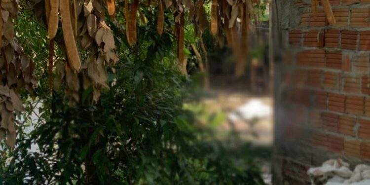 O corpo foi encontrado por moradores que acionaram a polícia. Foto: Reprodução