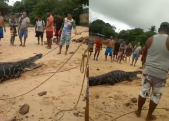 O caso aconteceu em Alter do Chão, no Pará. Foto: Reprodução/Instagram
