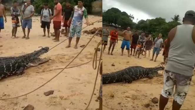 O caso aconteceu em Alter do Chão, no Pará. Foto: Reprodução/Instagram