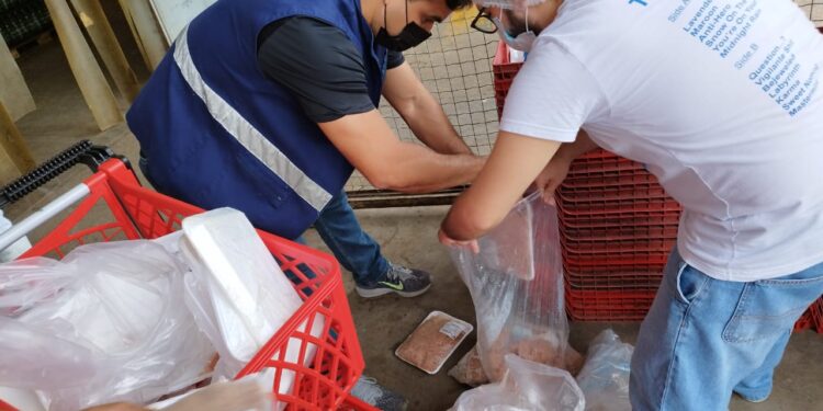 As ações de fiscalização prosseguem ao longo desta semana. Foto: Divulgação / Semsa