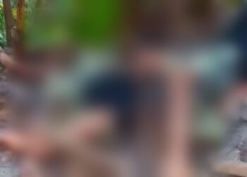 Não há informações de onde ocorreu o fato. Foto: Reprodução