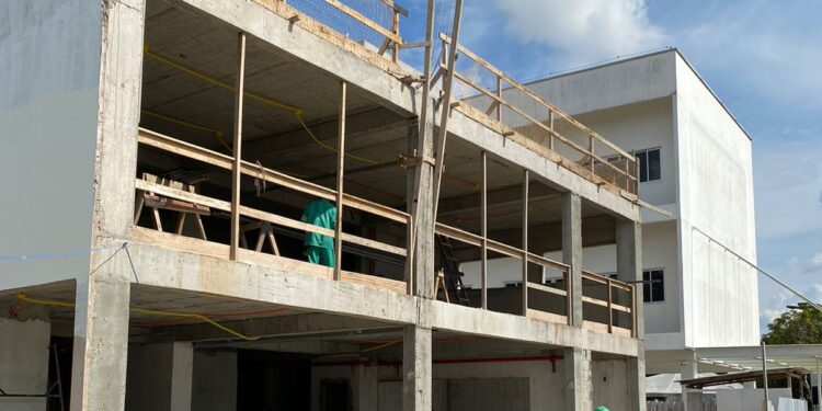 Novo hospital vai oferecer atendimento veterinário gratuito. Foto: Divulgação/Seinfra