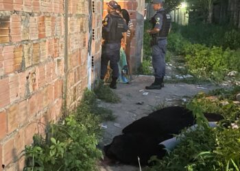 O crime ocorreu na tarde desta terça-feira (6). Foto: Divulgação