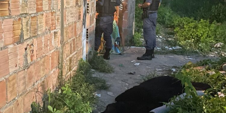 O crime ocorreu na tarde desta terça-feira (6). Foto: Divulgação