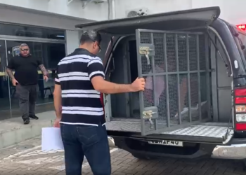 As vítimas são dois meninos de 7 e 11 anos de idade. Foto: Reprodução