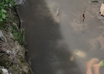 O crime teria ocorrido na madrugada, mas o adolescente foi encontrado nesta manhã. Foto: Reprodução