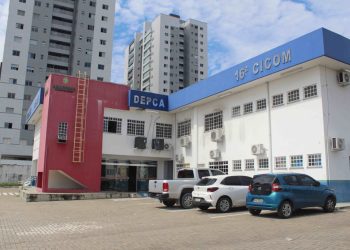 O caso é investigado na Depca e a criança foi entregue ao Conselho Tutelar. Foto: SSP-AM - Divulgação