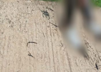 A explosão aconteceu na manhã deste domingo (15). Foto: Reprodução