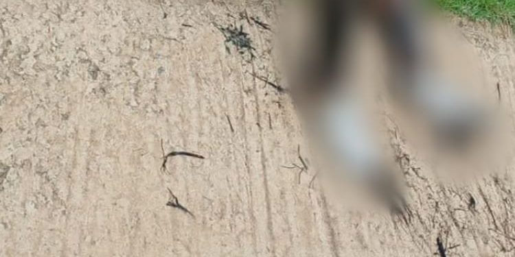 A explosão aconteceu na manhã deste domingo (15). Foto: Reprodução